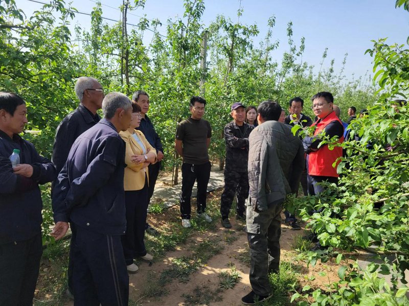 土地整理新趋势:推动农村现代化的催化剂